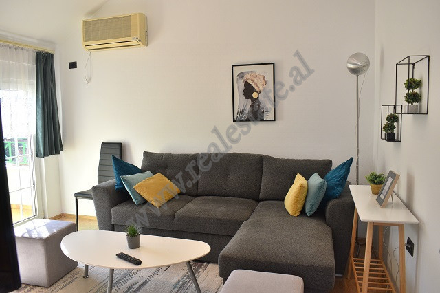 Apartament 1+1 per qira ne rrugen Cerciz Topulli, ne Tirane.
Pozicionohet ne katin e 4te te nje vil